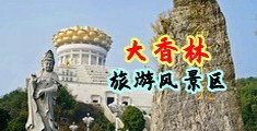黄色日大黑逼逼中国浙江-绍兴大香林旅游风景区